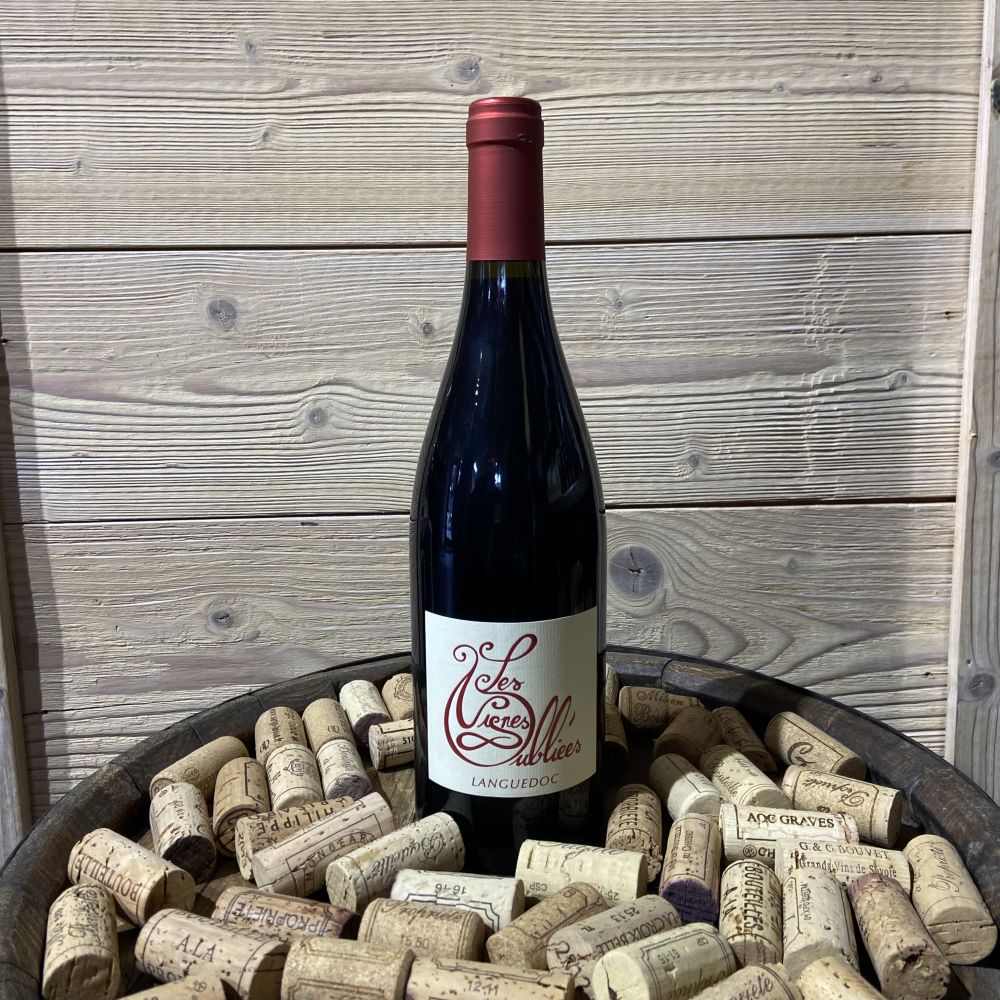 « Autour du Cinsault » Les Vignes Oubliées Jullien et Granier Rouge 2024 – Image 2